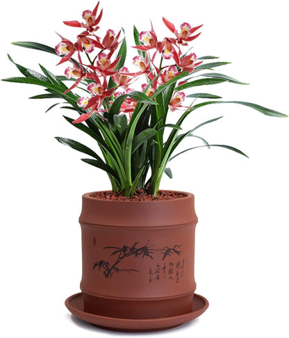 Dahlia 5.3" Beautiful Land Zisha Bonsai Planter/Succulent Pot/Flower Pot w. Saucer, Dark Brown
