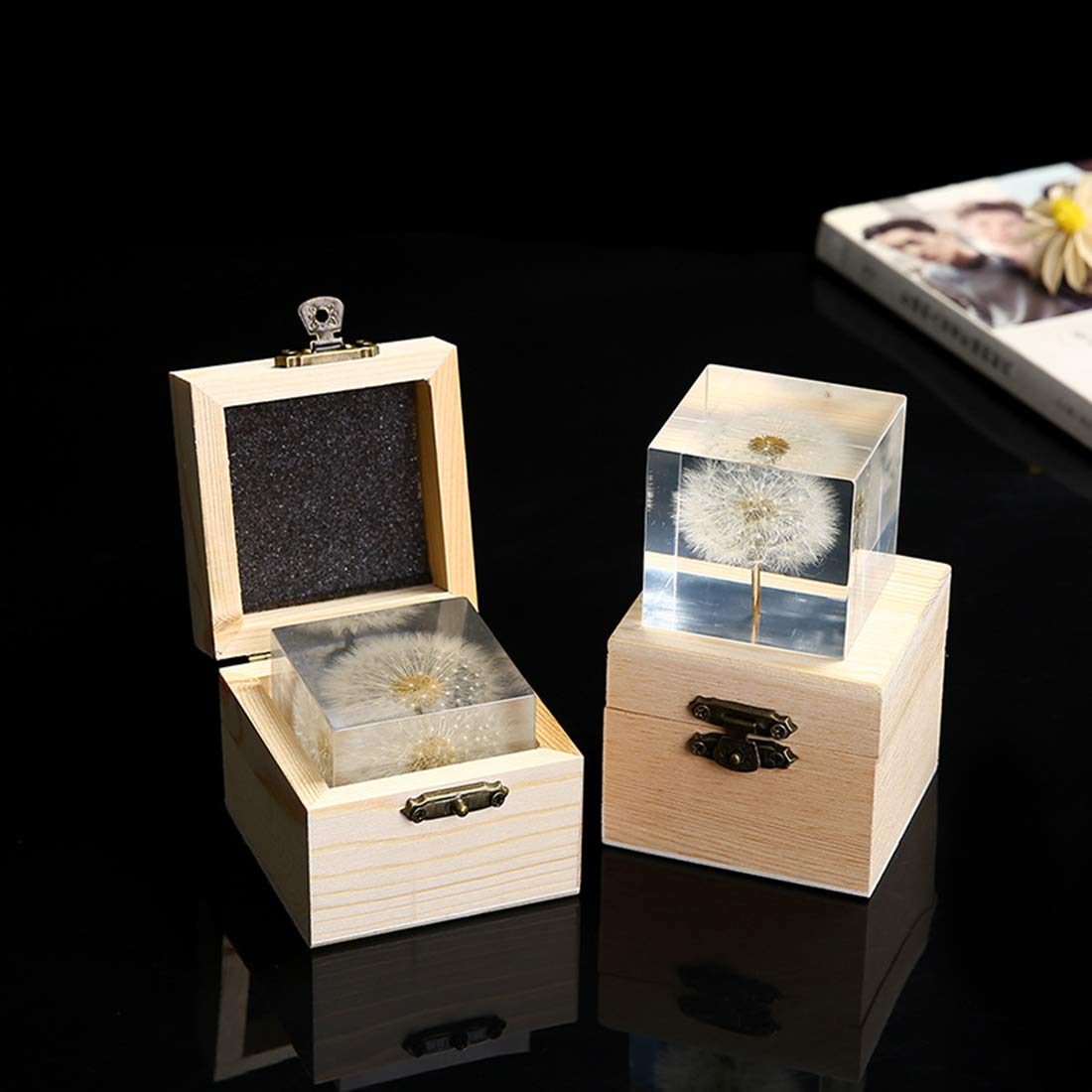Real Dandelion specimen Paperweight （2x2x2 Inch）