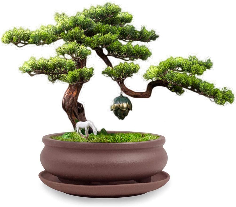 Dahlia 5.3" Beautiful Land Zisha Bonsai Planter/Succulent Pot/Flower Pot w. Saucer, Dark Brown