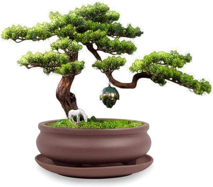Dahlia 5.3" Beautiful Land Zisha Bonsai Planter/Succulent Pot/Flower Pot w. Saucer, Dark Brown
