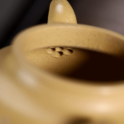 SILINE Zisha Teapot,Chinese Genuine Yixing Clay Teapot 8.9 Oz,Infuse Brew Kung Fu Loose Leaf Tea Maker -Lianzi,Yellow Duanni Clay