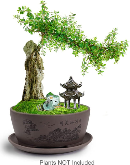 Dahlia 5.3" Beautiful Land Zisha Bonsai Planter/Succulent Pot/Flower Pot w. Saucer, Dark Brown