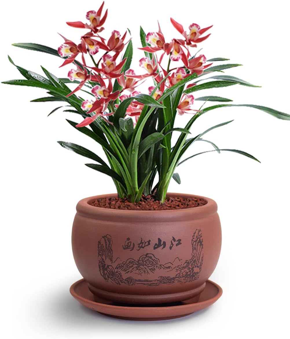 Dahlia 5.3" Beautiful Land Zisha Bonsai Planter/Succulent Pot/Flower Pot w. Saucer, Dark Brown