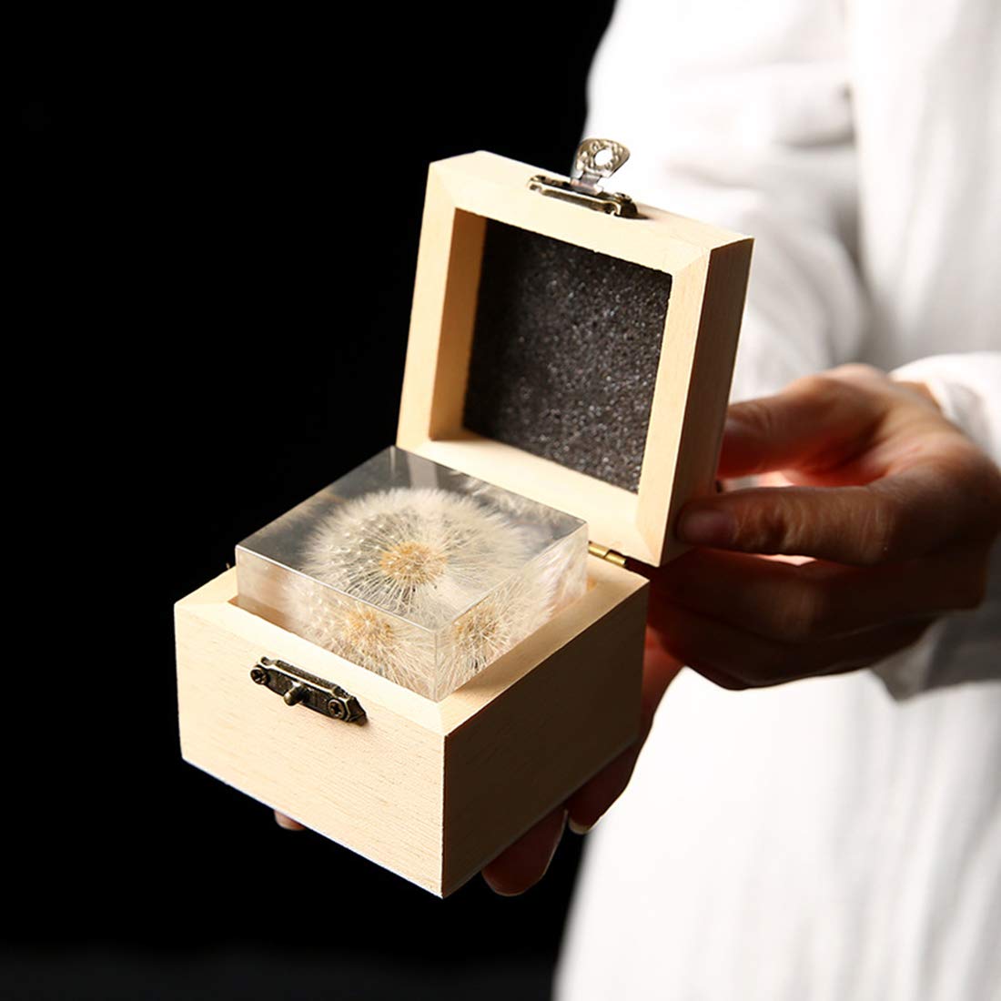 Real Dandelion specimen Paperweight （2x2x2 Inch）