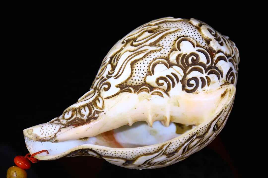 7"Tibetan Temple Collection Old Natural Conch hand carved Yamāntaka river snail conch Buddhist utensils Town house Exorcism