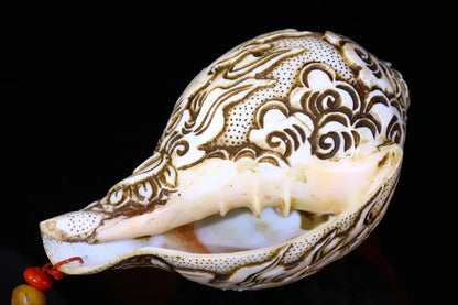 7"Tibetan Temple Collection Old Natural Conch hand carved Yamāntaka river snail conch Buddhist utensils Town house Exorcism