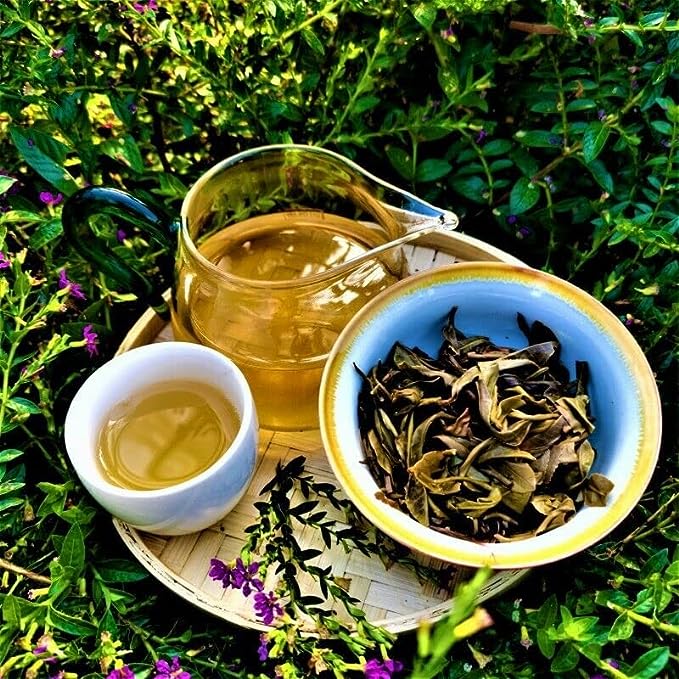 Yiwuqingbing Organic Arbor Pu'er Tea Health Care Natural Pu'er Raw Tea 357g