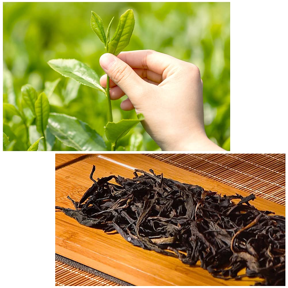 100g/3.5 Ounce Chinese Dancong Tea "Duck Shit Flavor" Fenghuang Moutain "yashi xiang" Oolong Tea Dan Cong Tea Chaozhou China