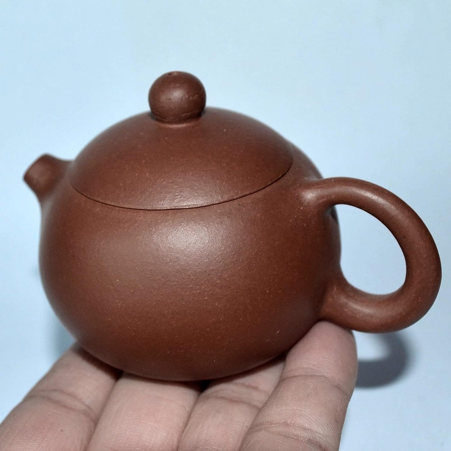 Teapot 4oz Chinese Yixing Zisha Tea Little Xishi Pots Natural Zini Mud for Loose Tea