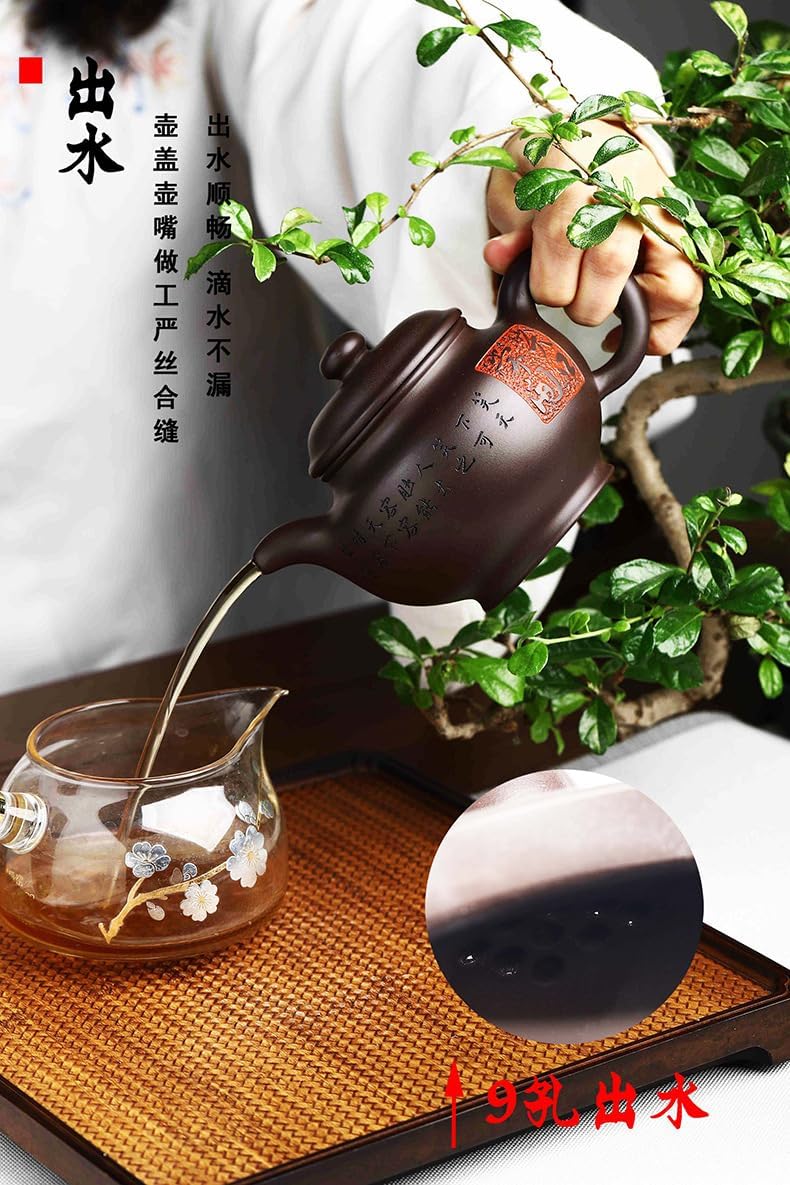 Handmade Zisha Teapot, Chinese Yixing Purple Clay Tea Pot 310cc,Chinese Kungfu Brew Infuser Loose Leaf Tea
