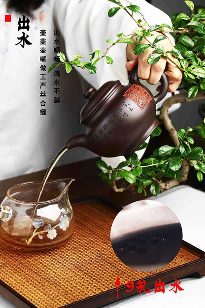 Handmade Zisha Teapot, Chinese Yixing Purple Clay Tea Pot 310cc,Chinese Kungfu Brew Infuser Loose Leaf Tea