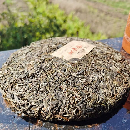 Health Care Python Qing Ancient Tree Tea Pu'er Tea Green Tea