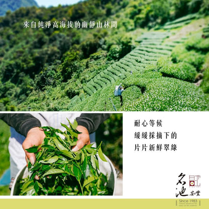 Taiwan unique tea,Chin-Shin-Oolong,Hand-picked ice and snow Cingjing albizia high cold tea leaves,150g*6