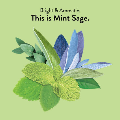 Choice Organics - Organic Mint Sage Tea (1 Pack) - Organic Herbal Tea - 16 Tea Bags