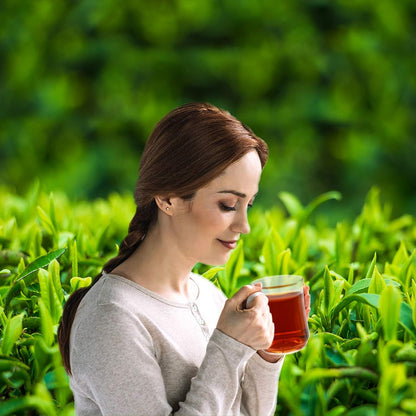 普洱茶蛋糕,陈年成熟普洱茶,中国云南普洱茶蛋糕,12.5 盎司/包