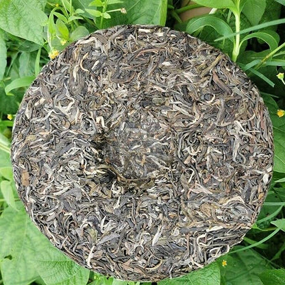 Zhonghong Yin Bow Ancient Tree Tea Yiwu Wanggong Pu-Erh Spring Tea Cake 357g