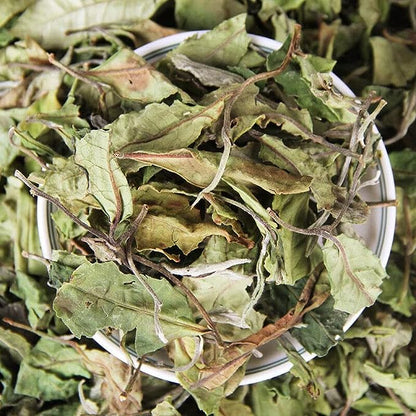 Organic Loose Leaf White Tea White Tea Yunnan Big Leaf Honey Flavour 500g