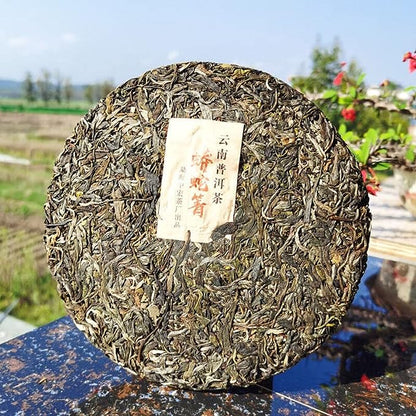 Health Care Python Qing Ancient Tree Tea Pu'er Tea Green Tea