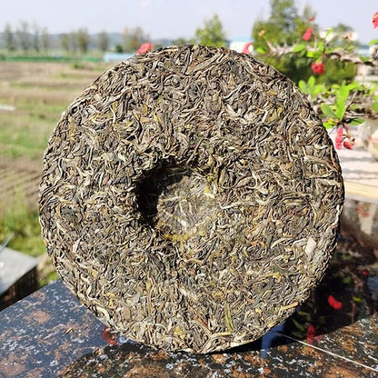 Health Care Python Qing Ancient Tree Tea Pu'er Tea Green Tea