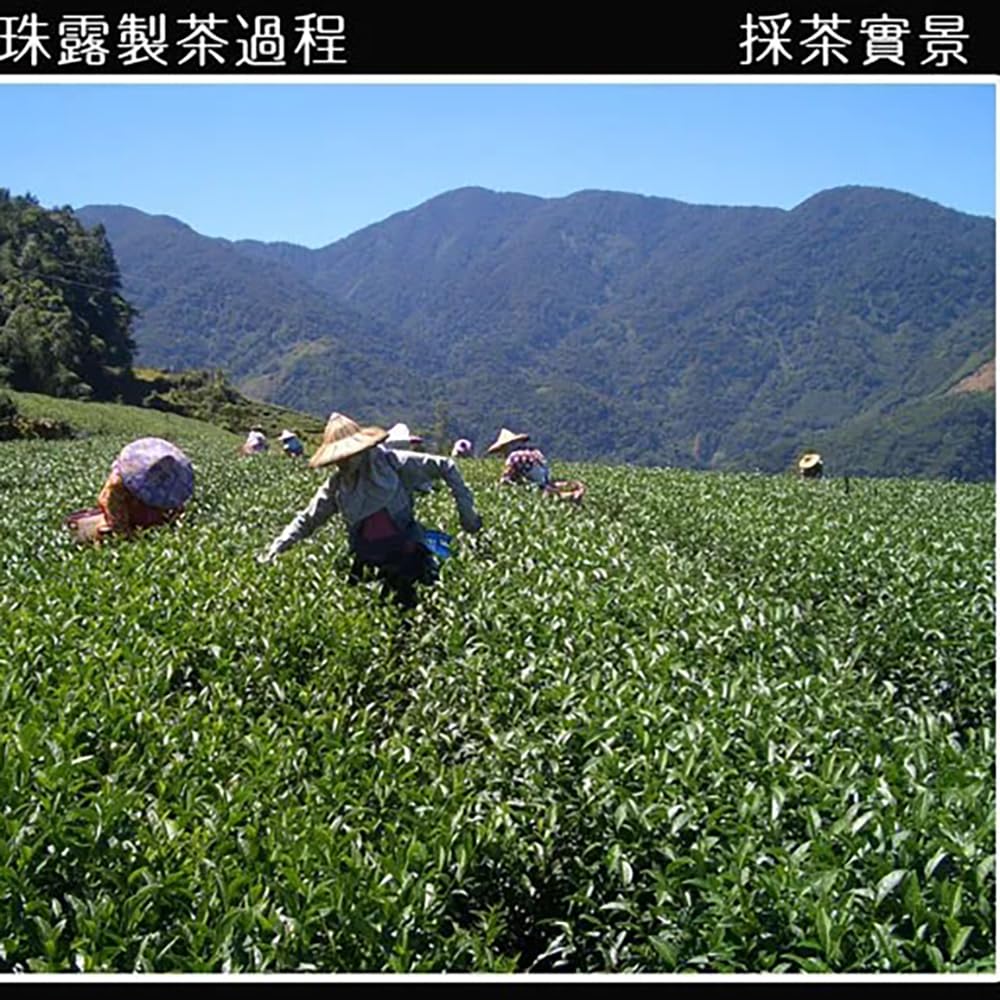 Taiwan unique tea,Chin-Shin-Oolong, Alishan Pearl Tea,300g*2