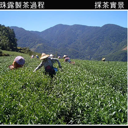 Taiwan unique tea,Chin-Shin-Oolong, Alishan Pearl Tea,300g*2