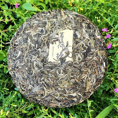 Zhonghong India Mint Tang Pu'er Raw Tea Ancient Tree Pu'er Green Tea 357g