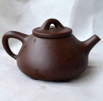 Teapot Chinese Yi Xing Gongfu Tea Pot ShiPiao Style Zisha Clay Zini for Loose Tea 4oz