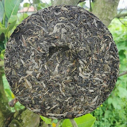 Brown Mountain Old Tree Pu'er Tea Zhonghong India Laobanzhang Raw Tea 357g