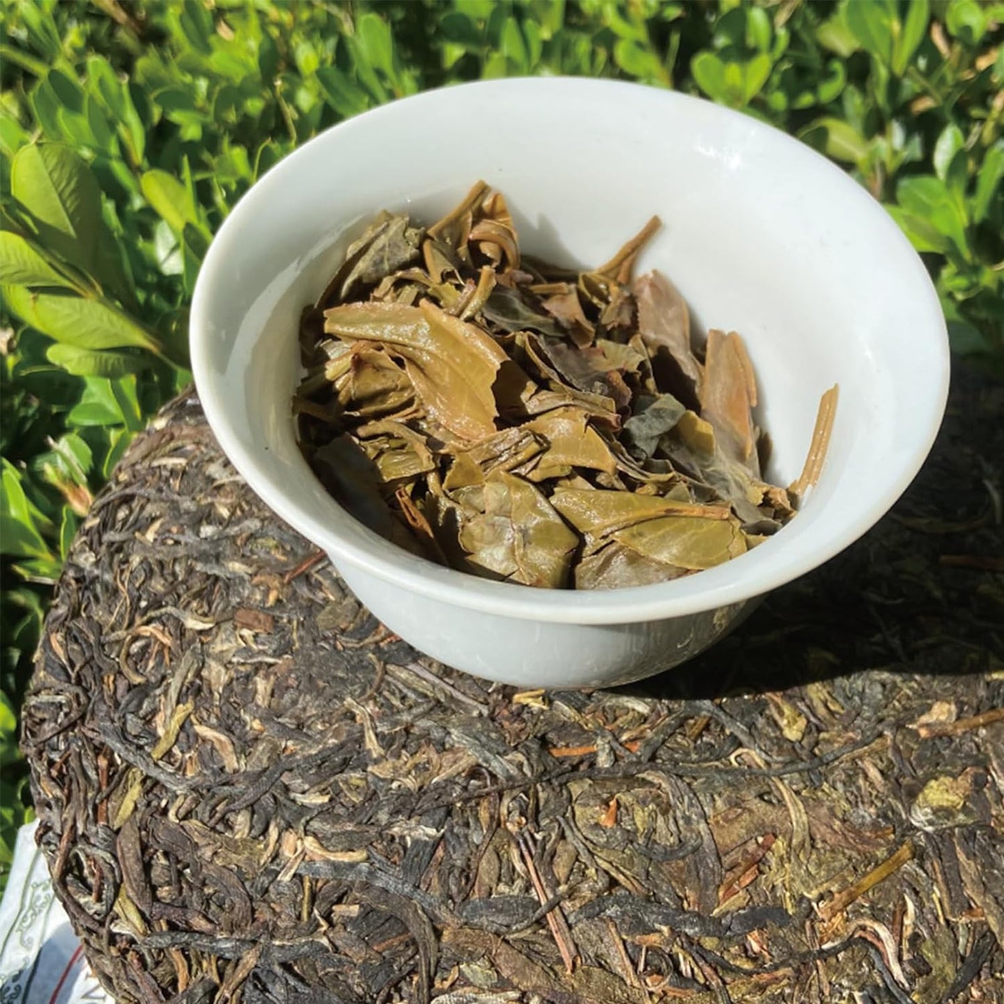 TEARELAE - Raw Puerh Tea Cake - Strong Taste & Slightly Bitter - Yunnan Daye Cha Black Tea Loose Leaf - Traditional Chinese Tea - About 12.59oz/357g