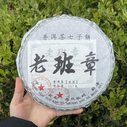 TEARELAE - Raw Puerh Tea Cake - Strong Taste & Slightly Bitter - Yunnan Daye Cha Black Tea Loose Leaf - Traditional Chinese Tea - About 12.59oz/357g