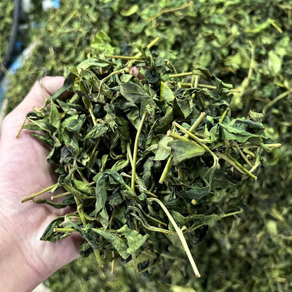 Taiwan unique tea,Chin-Shin-Oolong,Dayuling winter tea,75g*8