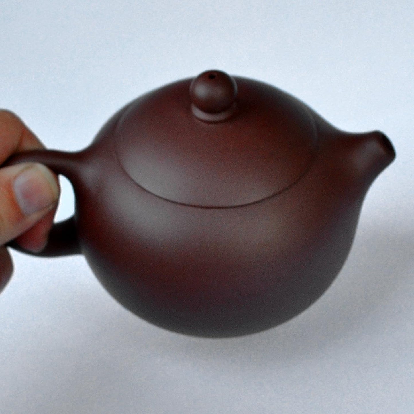 Teapot 270ml Yixing Clay Xishi Pots Infuser for Loose Tea Blooming (Blooming)