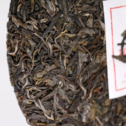 班盆老寨单株普洱生茶 357g/12.6oz Ban Pen Raw Puerh Tea Cake, Natural and Aged Sheng Pu Erh Tea, Yunnan Raw Puer Tea Cake