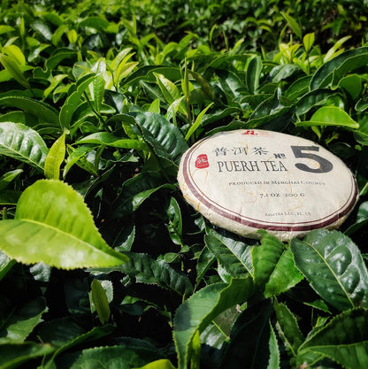 Jinglong Tea Factory - Puerh Tea No5 (80 Cups) Ripe Pu-erh Tea Mini Cake (7.1 Ounce)