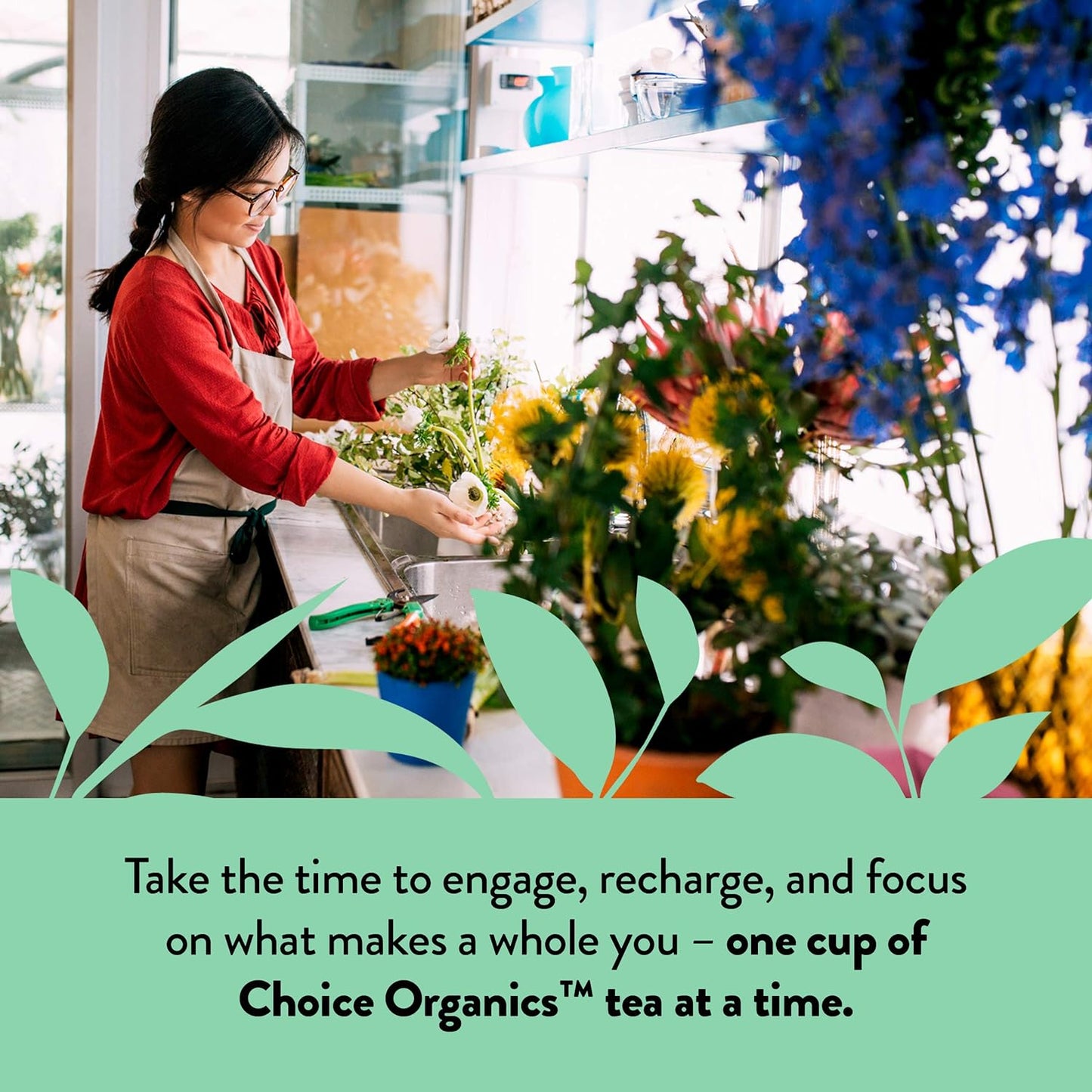 Choice Organics - Organic Peppermint Tea (3 Pack) - Compostable - Caffeine Free - 48 Organic Herbal Tea Bags
