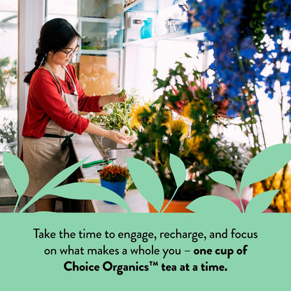 Choice Organics - Organic Peppermint Tea (3 Pack) - Compostable - Caffeine Free - 48 Organic Herbal Tea Bags