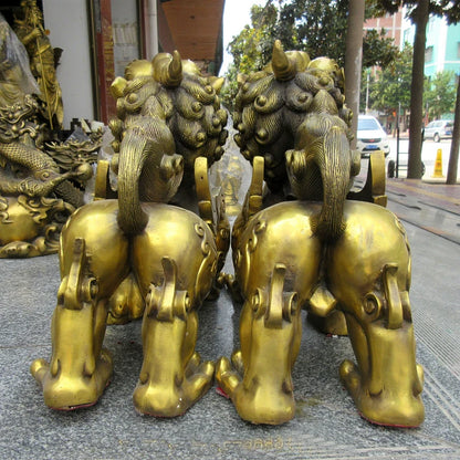 A pair 50cm large Huge home Porch lobby efficacious Protection Mascot thriving business GOOD LUCK dragon PI XIU FENG SHUI statue