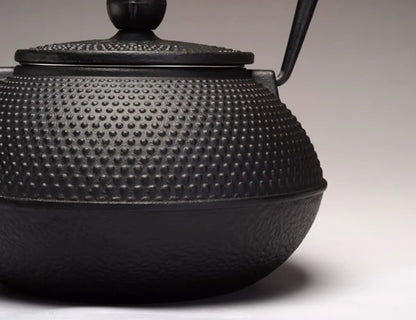 Authentic Japanese Cast Iron Teapot Set Tea Pot Tetsubin Kettle Drinkware 800ml Kung Fu Infusers Metal Net Filter Cooking Tools
