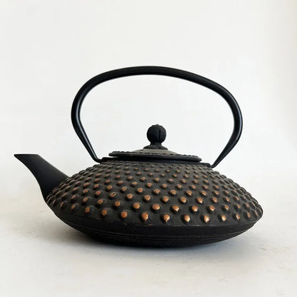 Black and Gold Cast Iron Teapot With Strainer Tetera Tetsubin Tea Kettle Tea Maker For Boiling Water Decoration Ornament