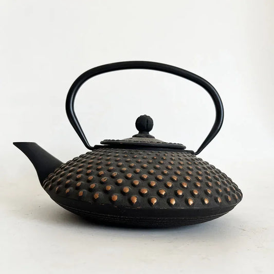 Black and Gold Cast Iron Teapot With Strainer Tetera Tetsubin Tea Kettle Tea Maker For Boiling Water Decoration Ornament