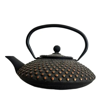 Black and Gold Cast Iron Teapot With Strainer Tetera Tetsubin Tea Kettle Tea Maker For Boiling Water Decoration Ornament