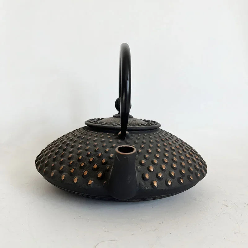 Black and Gold Cast Iron Teapot With Strainer Tetera Tetsubin Tea Kettle Tea Maker For Boiling Water Decoration Ornament