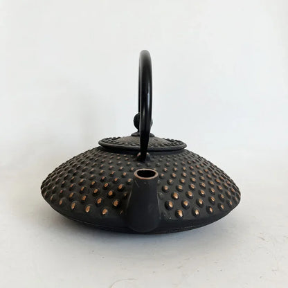 Black and Gold Cast Iron Teapot With Strainer Tetera Tetsubin Tea Kettle Tea Maker For Boiling Water Decoration Ornament