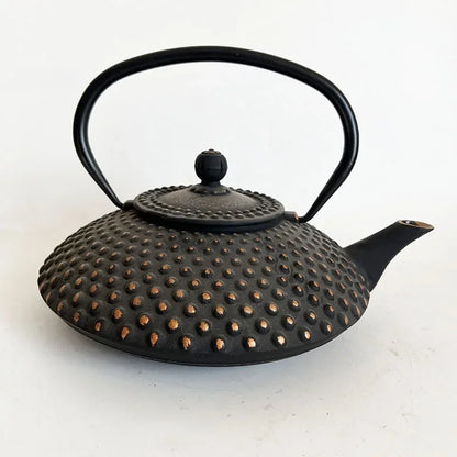 Black and Gold Cast Iron Teapot With Strainer Tetera Tetsubin Tea Kettle Tea Maker For Boiling Water Decoration Ornament