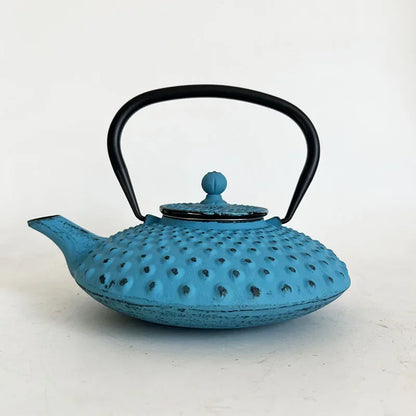 Blue 450ml Small Cast Iron Teapot With Strainer Tetera Tetsubin Tea Kettle Tea Maker For Boiling Water Decoration Ornament
