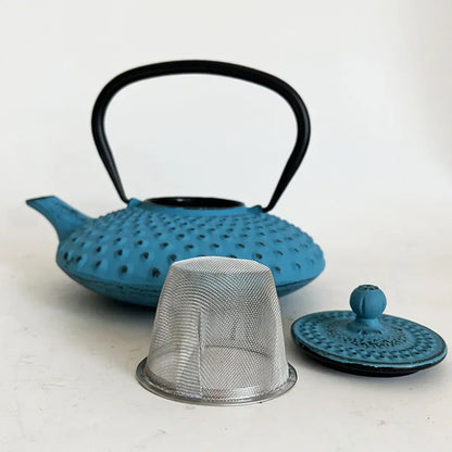 Blue 450ml Small Cast Iron Teapot With Strainer Tetera Tetsubin Tea Kettle Tea Maker For Boiling Water Decoration Ornament