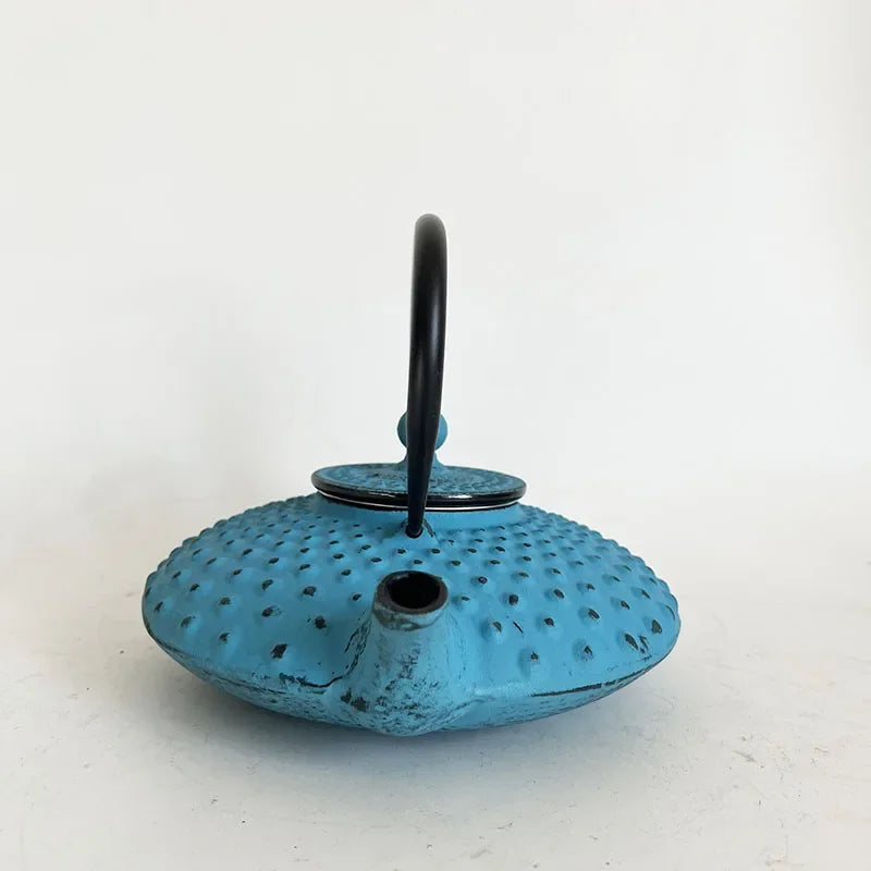 Blue 450ml Small Cast Iron Teapot With Strainer Tetera Tetsubin Tea Kettle Tea Maker For Boiling Water Decoration Ornament
