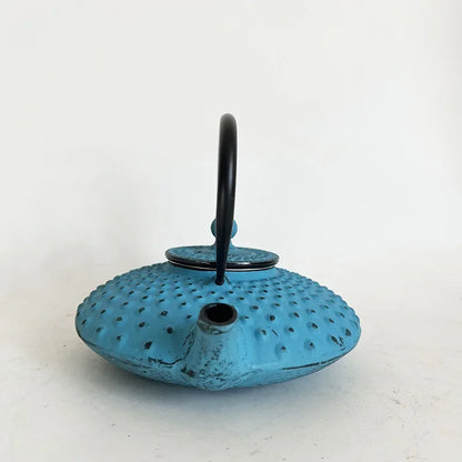 Blue 450ml Small Cast Iron Teapot With Strainer Tetera Tetsubin Tea Kettle Tea Maker For Boiling Water Decoration Ornament