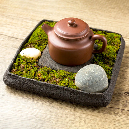 Bonsai Plate Landscape Tea Tray Natural Stone Plant Pot Table Garden Volcanics Home Decoration Craft Office Teaware Originality