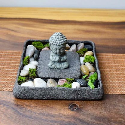 Bonsai Plate Landscape Tea Tray Natural Stone Plant Pot Table Garden Volcanics Home Decoration Craft Office Teaware Originality